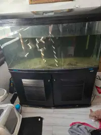 Aquarium 90 gallons 
