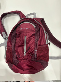 Eddie Bauer Stowaway 20L backpack