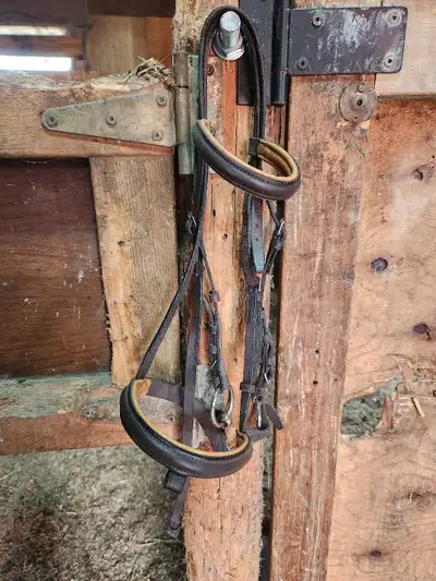 Brown pony bridle