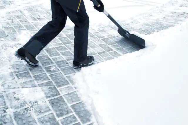 Professional Snow Removal Services571508516938076162