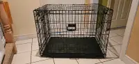 dog kennel with padded liner