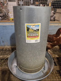 Chicken feeder