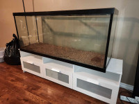110gal Fish Tank - Holds Water
