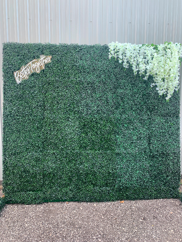 Wedding Arbor and Hedge Wall in Other in Kitchener / Waterloo - Image 2