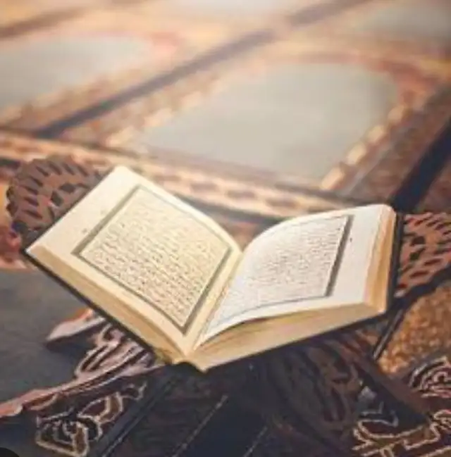 English, Arabic & Holy Quran Tutoring Services64661857689345121