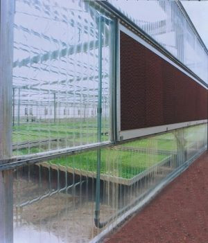 Panneau à toiture ondulé en polycarbonate Distribution DWP dans Toiture  à Laval/Rive Nord - Image 3