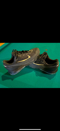 New Nike Air Pulse size 10 1/2