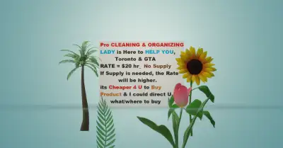 Experienced _CLEANING__ORGANIZING_Lady_is_Here_2_Help_GTA_$20 hr, View more