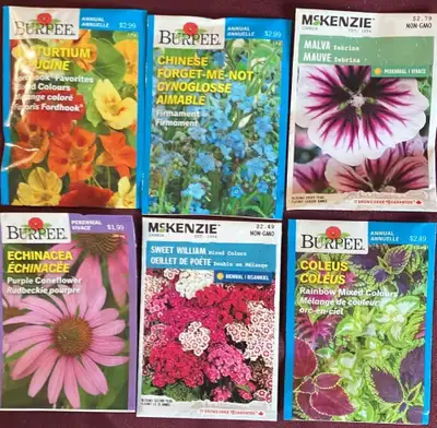 Flower Seeds Nasturtium Capucine Chinese Forget Me Not, View more