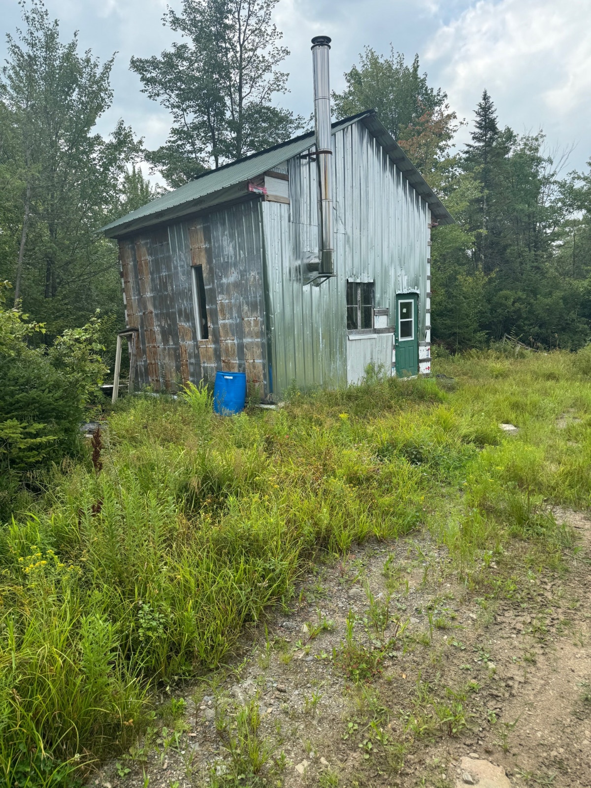 Terre à Bois 10e Rang Ouest Wickham 82 Acres Camp de Chasse — photo 2