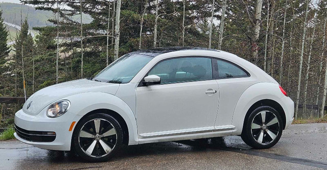 Volkswagen in Cars & Trucks in Calgary