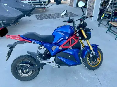 DAYMAK Rogue eBike 1100 km. New lead acid batteries in 2024 no damage. No license required in most j...