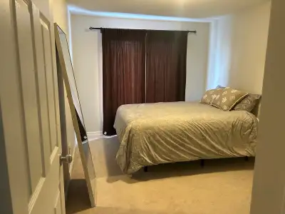 Furnished room for rent in 3 bedroom townhouse in Barrhaven Located in peaceful neighbourhood of Cha...