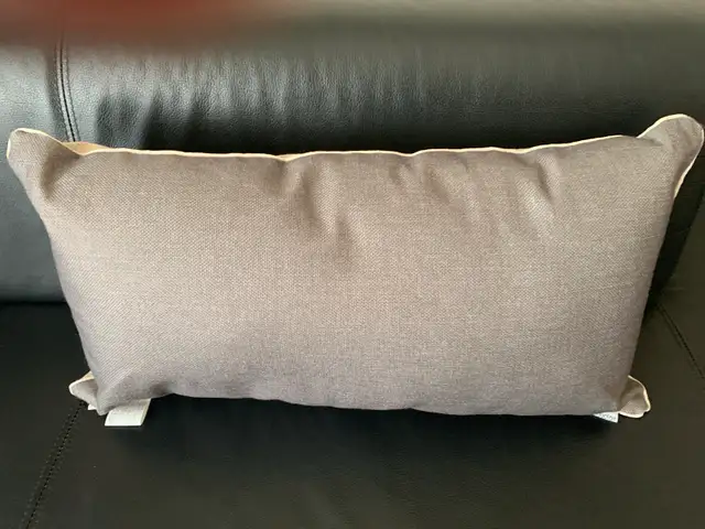 Urban barn Decorative Pillows62863284153475121