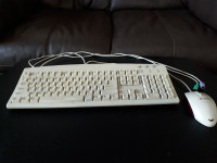 PS/2 Keyboard And Mouse