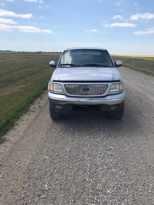 2003 Ford F150604579874892032001
