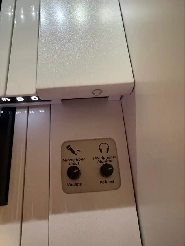 DÉJÀ VENDU …QUI SERA LE NOUVEAU PROPRIÉTAIRE DE CE BIJOUX? in Pianos & Keyboards in City of Montréal - Image 8