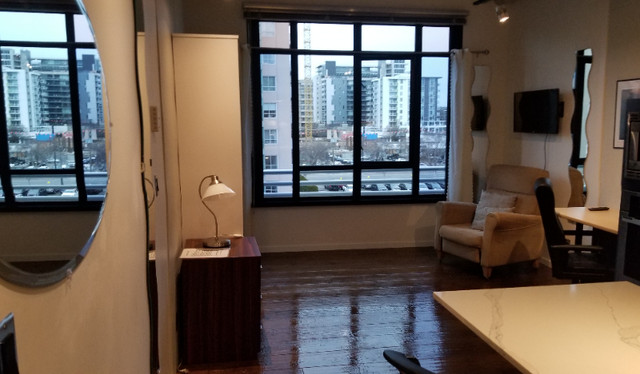 Luxury Condo for Rent, Downtown Victoria in Long Term Rentals in Victoria - Image 2