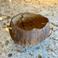 Coconut Shell Hanging Planter Pot