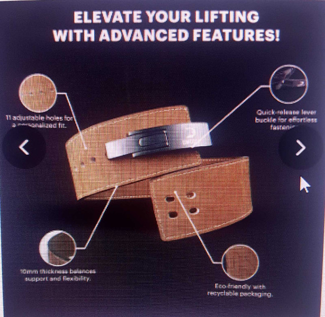 Weight Lifting Belt  in Exercise Equipment in Windsor Region