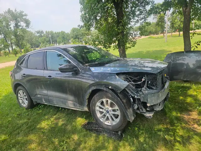 2020 ford escape se 