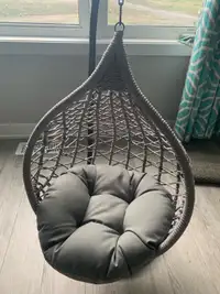 Hangin Cat Bed