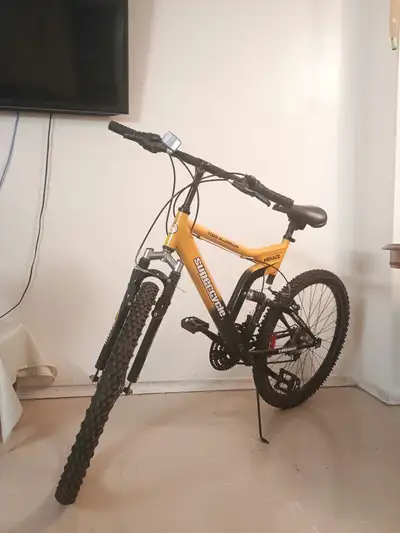 The Bike is in great condition Rides smooth, perfect brakes and smooth gear change Ellesmere and Mor...