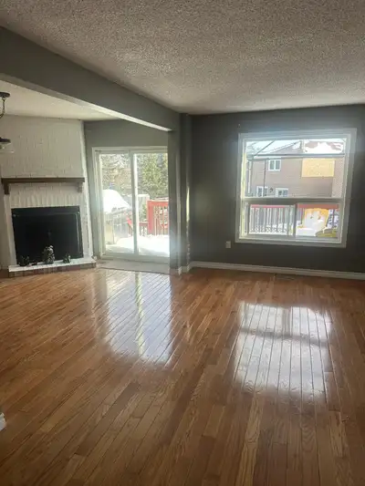 BRAMPTON CLEANING SERVICES, View more