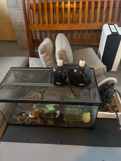 Complete terrarium set up for your reptiles! This includes dishes and bowels, plants, substrate, hol...