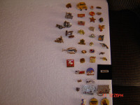 Pins a motif (34 pins)