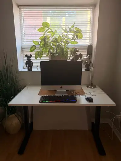 Ikea Office Desk (Adjustable) - NEED GONE, View more