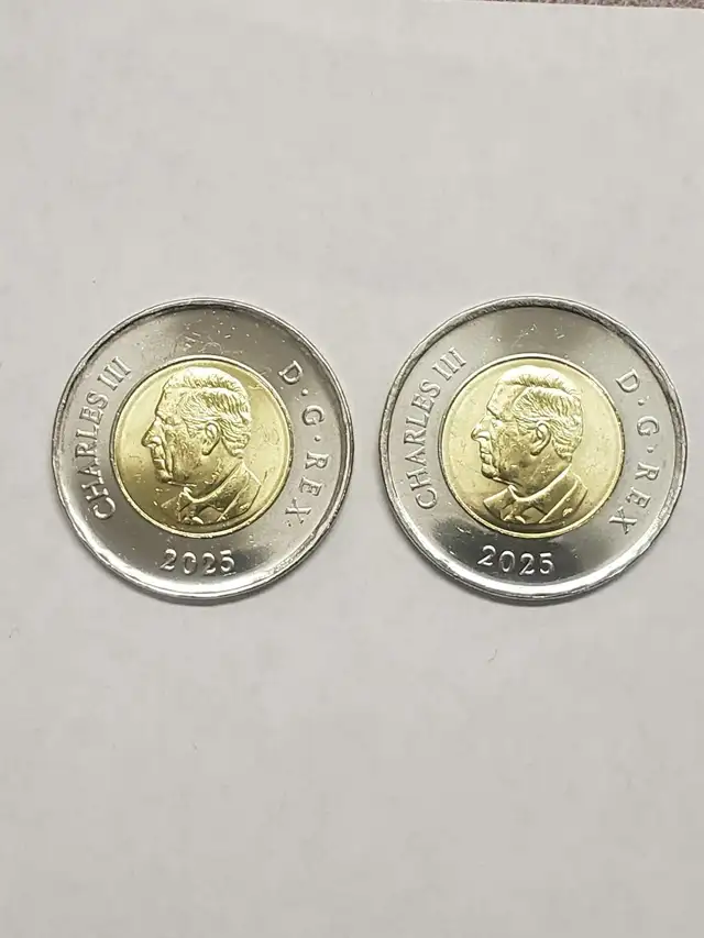 2025 Toonie Tomb Unknown Soldiers in Arts & Collectibles in City of Toronto - Image 3