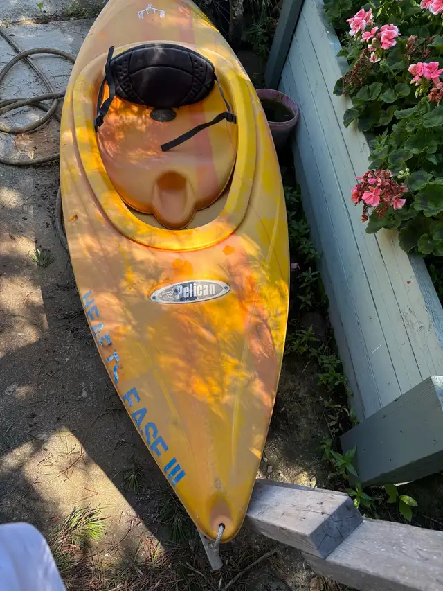 Thinking about Christmas?  great Pelican Kayak and Paddle in Water Sports in Calgary - Image 4