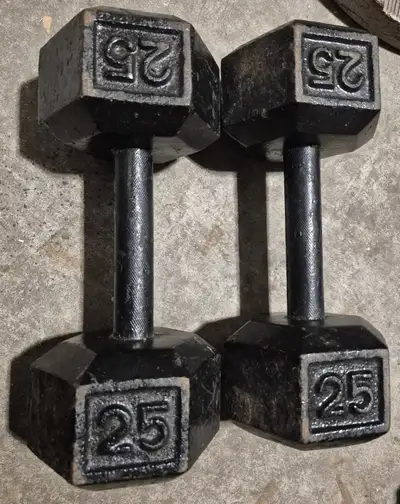 A pair of 25 lbs dumbbells, View more
