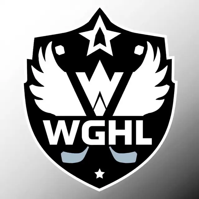 Wanted: Team for Saturday night men's league hockey - Woodstock 63735881376515120