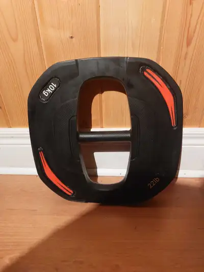 22LB Weight Plate with Handle (Read Description), View more