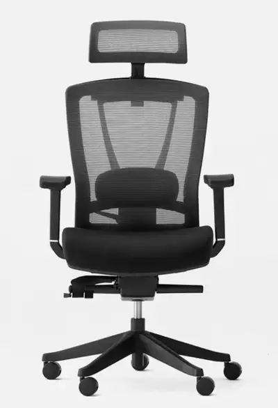 NEW ErgoChair Pro - Black - Still in the box, View more