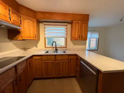 Updated family home on Martin Lake in Lake Echo. Updated Kitchen and Bathrooms, new floors and fresh...
