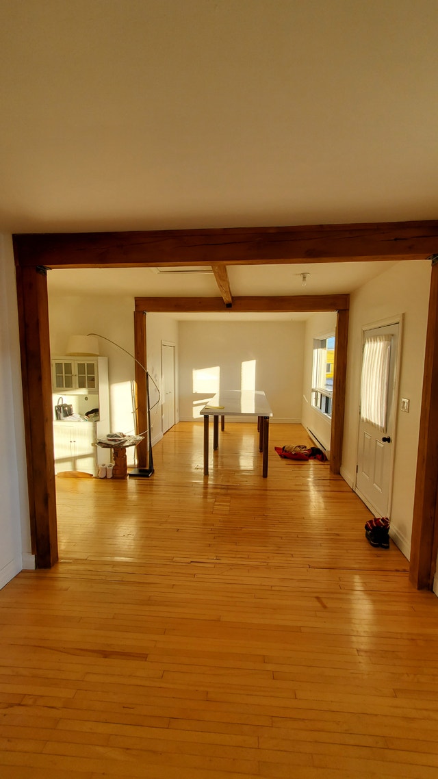 Grand 3 1/2 au centre-ville de Victoriaville — photo 1