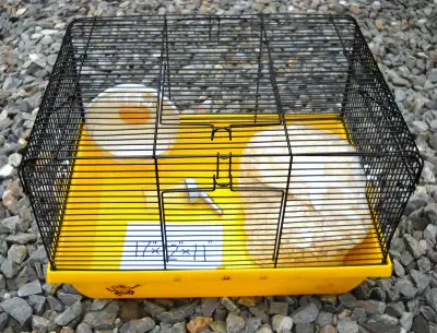 CAGE  POUR PETIT ANIMAL (10$), View more