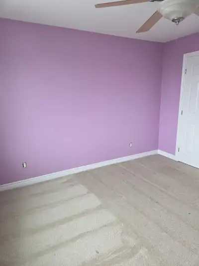 Paint - Novel Lilac, View more