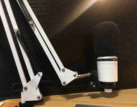 Audio Technica AT2020xlr white edition with mic desk mount+