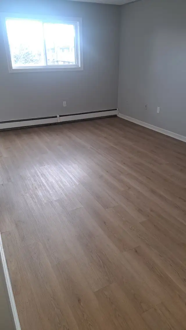room for rent in Room Rentals & Roommates in Dartmouth - Image 3