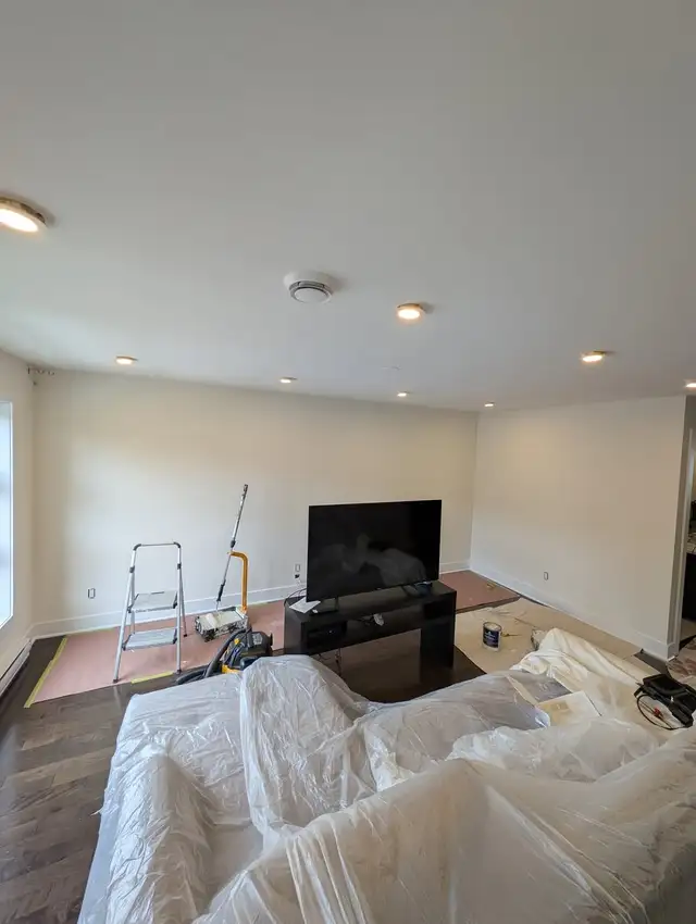 Residential Painter65669459346562124