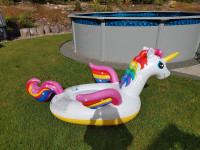Pool unicorn