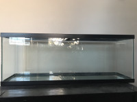 45-gallon & 50-gallon Fish Tanks/Aquaria