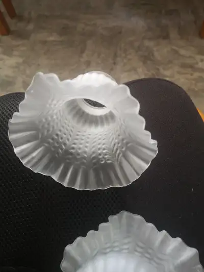 4 Glass Tulip Ceiling Fan Shades, View more