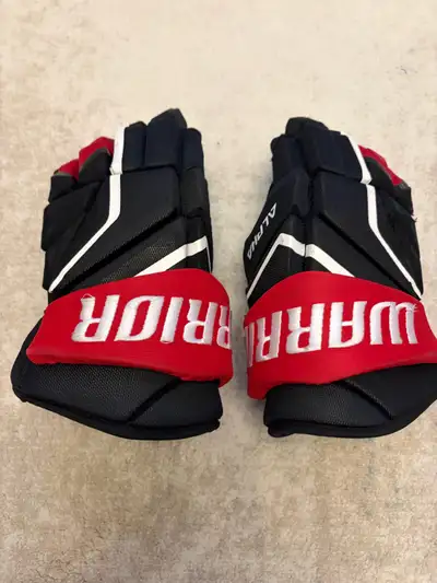 Warrior Alpha  LX2 Max senior Hockey Gloves 14”, View more