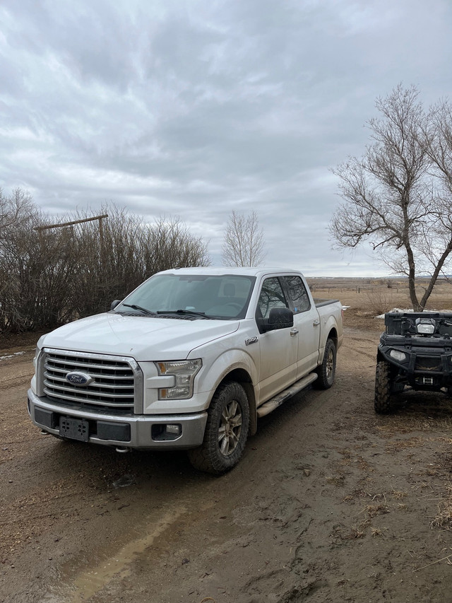 2015 Ford F-150 in Cars & Trucks in Swift Current - Image 3