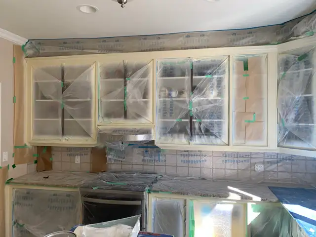 PRO TECH PAINTING417524160975360004